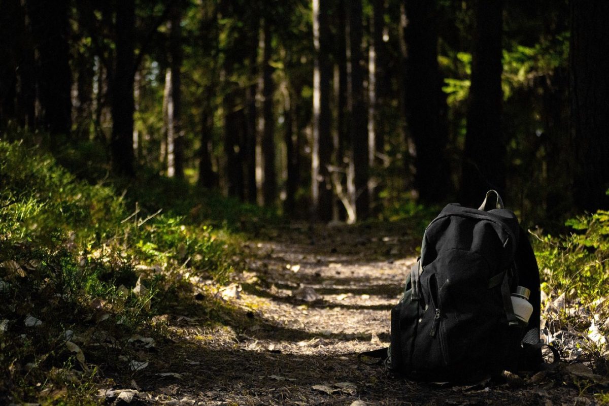 CamelBak ou Salomon : quel sac d'hydratation pour courir