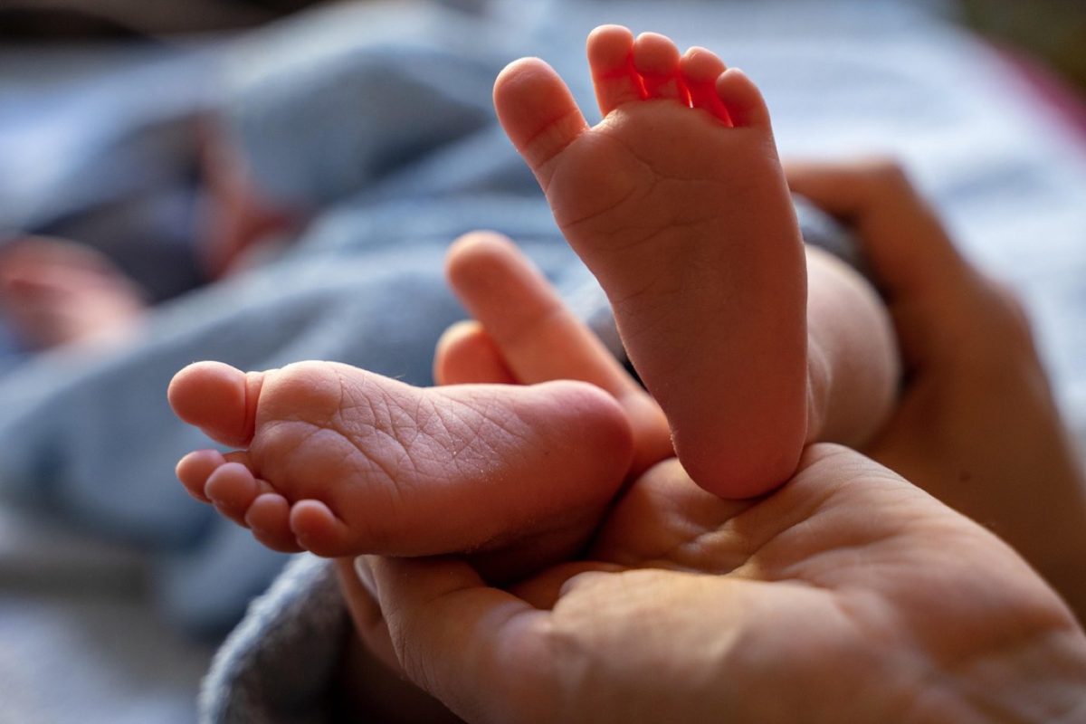 Meilleurs chaussons de récupération pour sportifs
