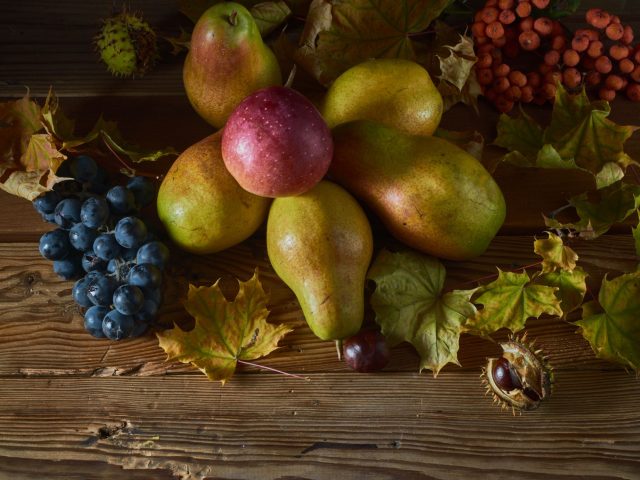 Quels aliments privilégier pour rester en forme cet automne ?