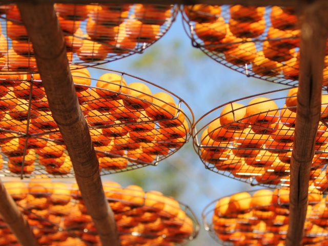 Comment adapter son alimentation aux saisons pour rester en forme ?