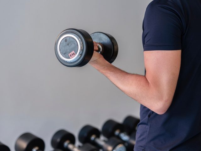 Avis Theragun (Therabody) : percussive therapy et usages